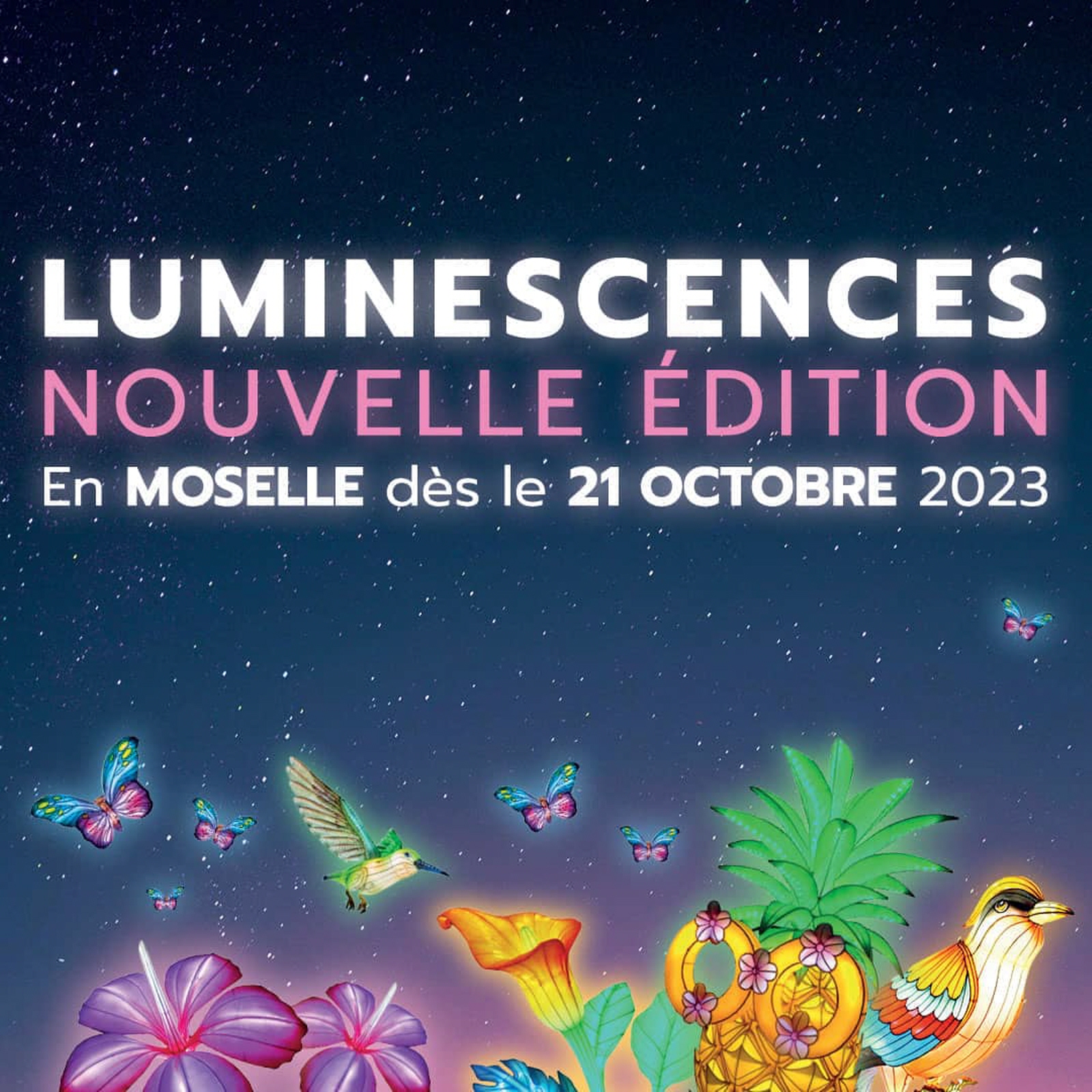 Festival Luminescences Zoo Amnéville