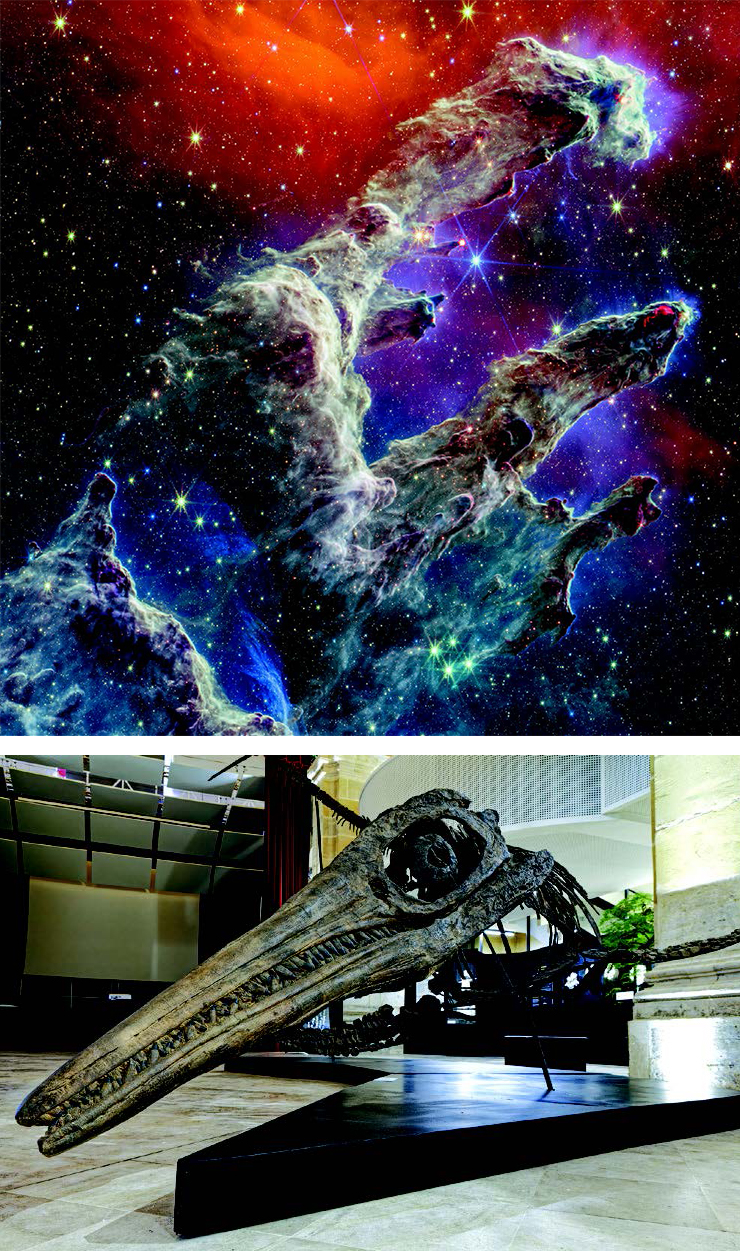 Expo famille et jeune public au cloître des Recollets à Metz