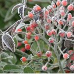 atelier Jardins fruitiers LAquenexy Moselle, jeune public